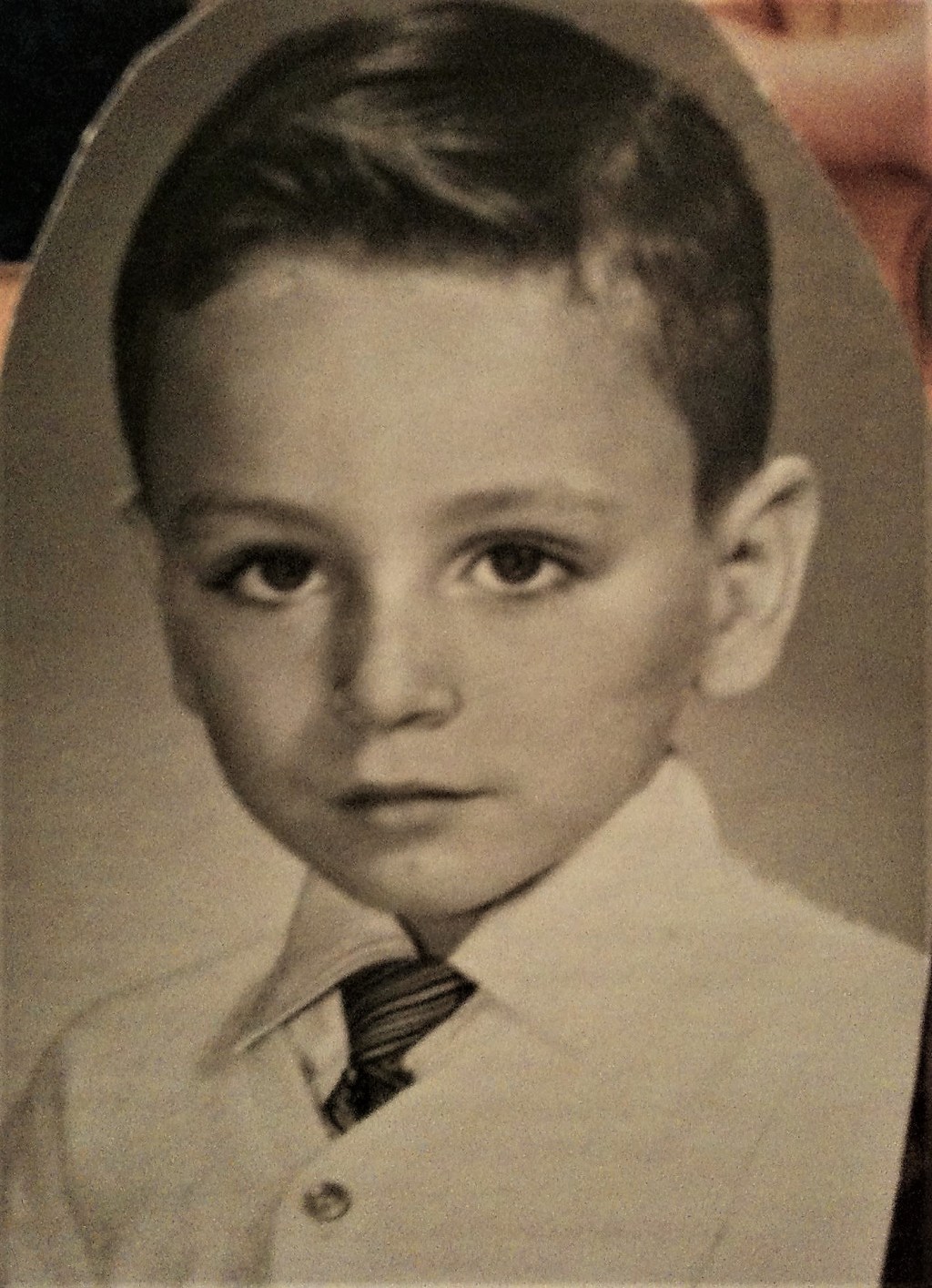 “The Pig Men”                                                                                          Living Large At The Amazing Housing Project (Part&nbsp;4)